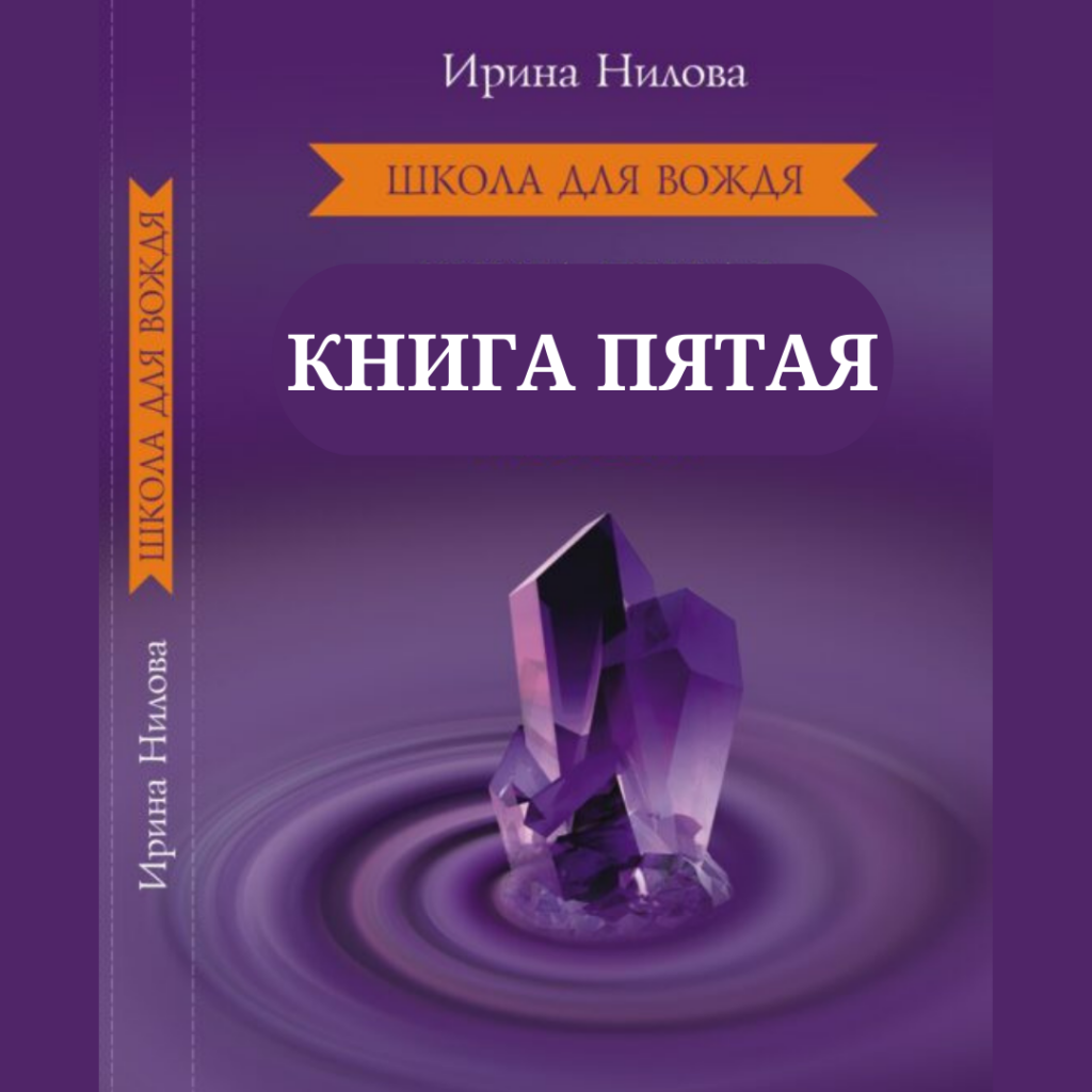 Обложка: Школа для Вождя    книга 5